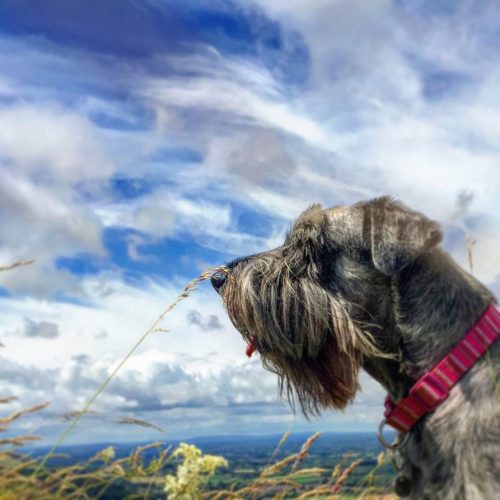 Scenic walks are always included in our list of adventures